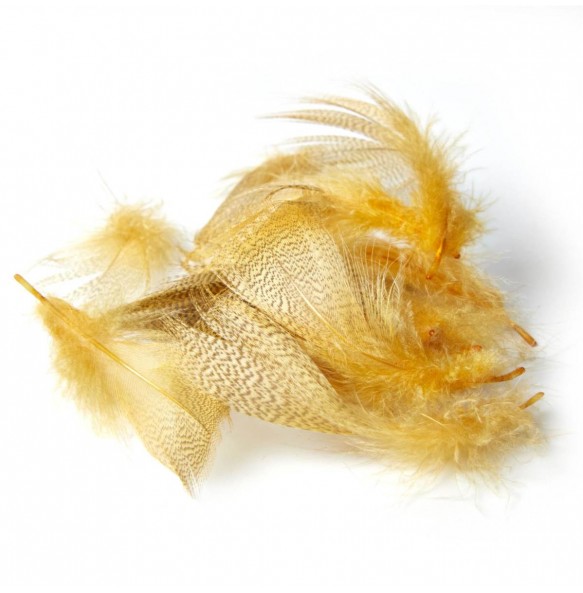 FLANC DE CANARD D'ÉTÉ