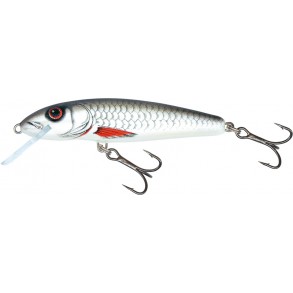 SALMO MINNOW 6cm 6gr profondeur de plongée 1,0-1,5m / sinking