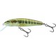 SALMO MINNOW 6cm 6gr. PLONGEE 1/1.5m