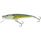 SALMO PIKE 11cm 15g floating