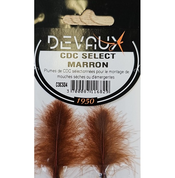 DEVAUX CDC SELECT GRIS BLEU CLAIR