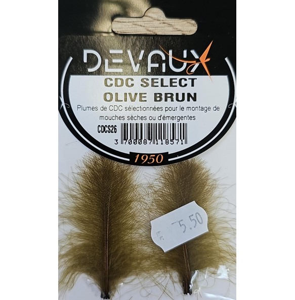 DEVAUX CDC SELECT GRIS BLEU CLAIR