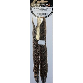 DEVAUX QUEUE DE POULE FAISANE