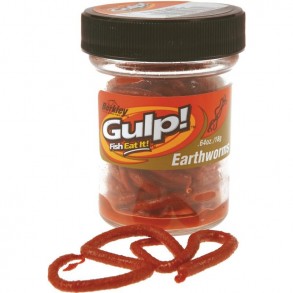 Appât Artificiel Berkley Extruded Earthworms – Vers Ultra Réalistes et Performants
