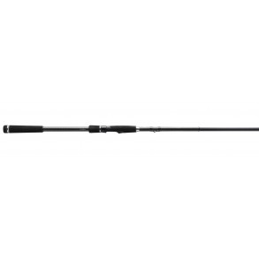 Canne spinning Fate Black Spinning 13 fishing 244cm 10-30gr 2 sections