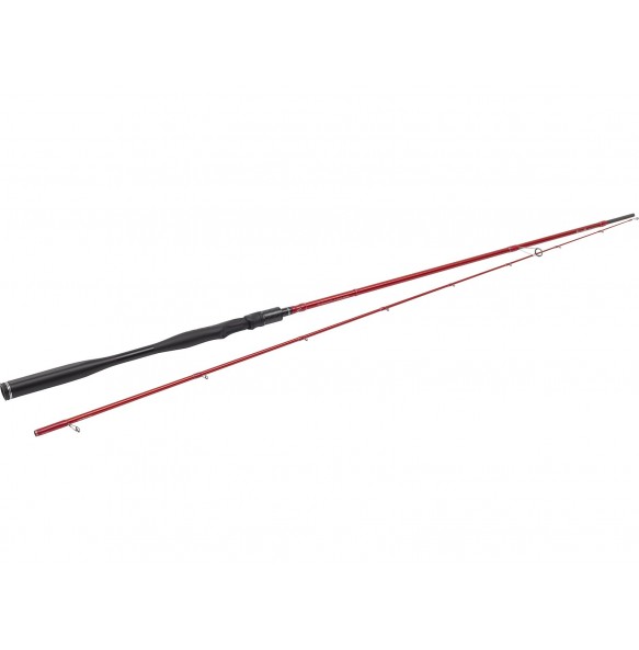 W6 FINESSE SHAD 2ND 7'4" / 224 cm / 2 sec 4-28g