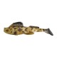 Leurre Souple Armé Megabass Dark Sleeper 4.5” 3/4Oz - 11Cm