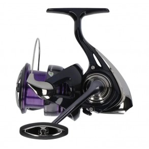Daiwa Prorex LT X - Rouleau stationnaire
