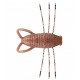 REINS INSECTOR FROG 5PCS.