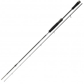 Daiwa Caldia Spin 1,95m 1-6g