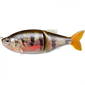 Leurre Coulant Biwaa Glidebeast 160S - 16Cm