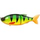 Leurre Coulant Biwaa Glidebeast 160S - 16Cm