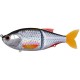 Leurre Coulant Biwaa Glidebeast 160S - 16Cm
