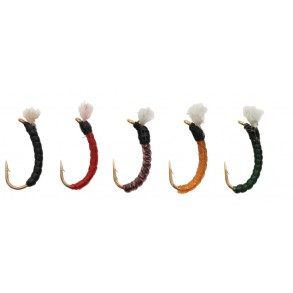 Stucki Gambe 5 nymphes spiralées