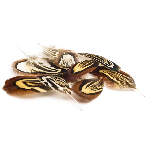 DEVAUX PLUMES FAISAN DVX
