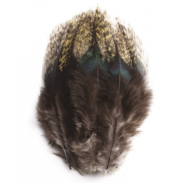 DEVAUX PELLE PARDO CLAIRE