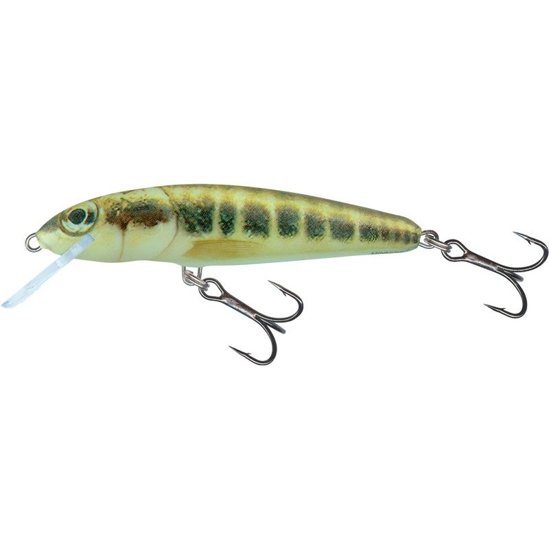 MINNOW 6cm